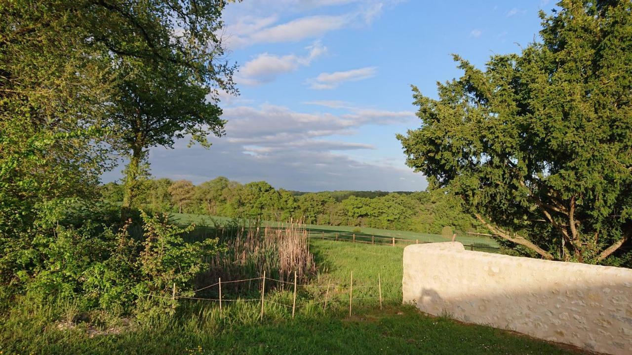 Longere Du Sud Touraine Au Coeur Du Val De Loire Villa Saint-Jean-Saint-Germain Kültér fotó